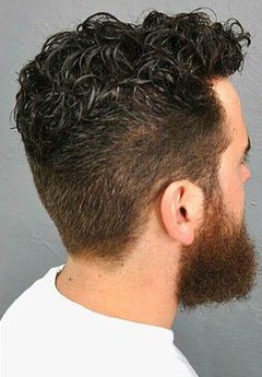 Haircuts For Men With Curly Hair 2024